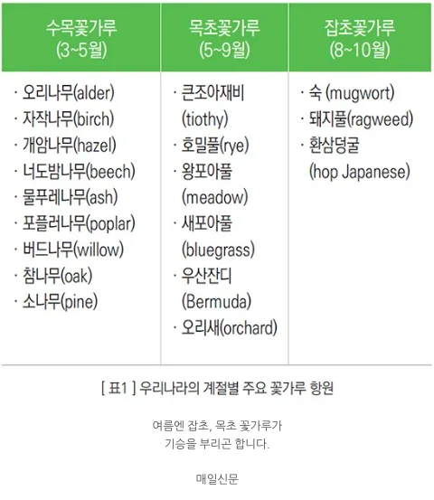 알레르기 비염 한의원 찾는다면 꼭 확인해야 할 정보 (2026)